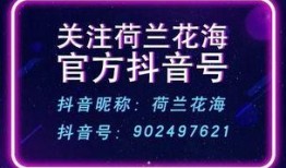 盐城抖音爆料事件最新,揭秘网络舆论背后的真相与争议