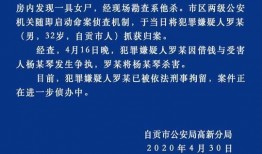 四川借钱爆料事件最新情况,最新进展揭示惊人内幕