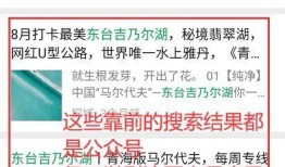 最新爆料热文小程序,最新爆料背后的秘密与趋势