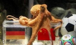 章鱼哥最新爆料,娱乐圈幕后真相大曝光！