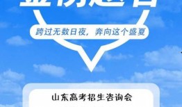 山东高考最新爆料,揭秘2024年改革动态与备考策略
