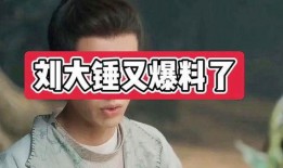 刘大锤最新爆料照片大全