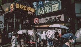 五一爆料捷克街头最新消息今天,多元文化碰撞，狂欢氛围弥漫