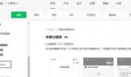 最新密文爆料小程序,小程序背后的秘密与影响