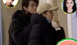 杨幂和魏大勋最新爆料,揭秘恋情背后的真相