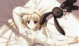 阿狸最新爆料视频大全,揭秘萌宠背后的秘密