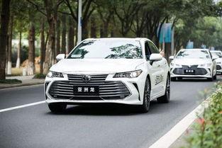 宁波亚洲龙最新爆料,尖端科技与时尚设计完美融合